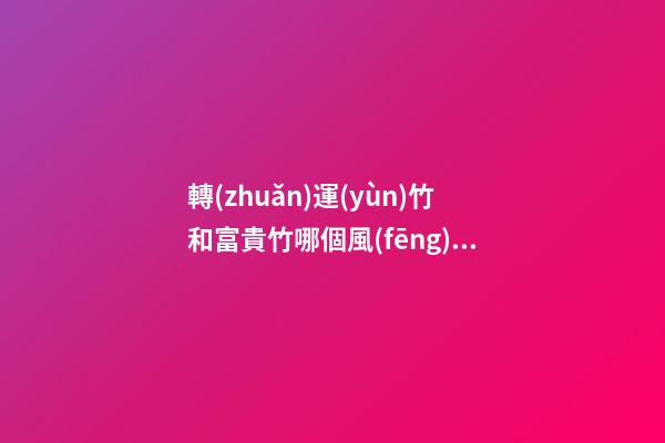 轉(zhuǎn)運(yùn)竹和富貴竹哪個風(fēng)水更好，擺放竹子的講究