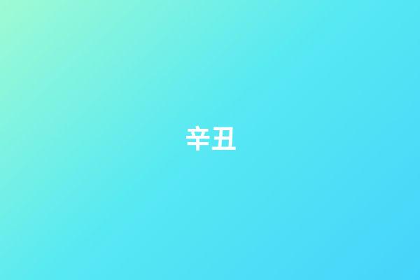 辛丑