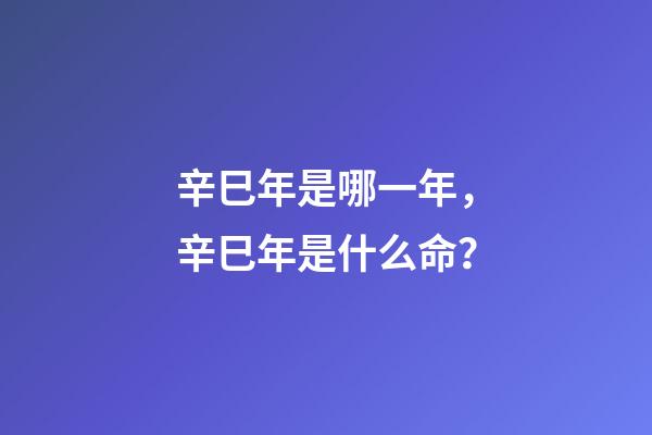 辛巳年是哪一年，辛巳年是什么命？