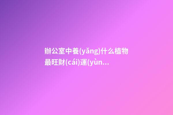 辦公室中養(yǎng)什么植物最旺財(cái)運(yùn)