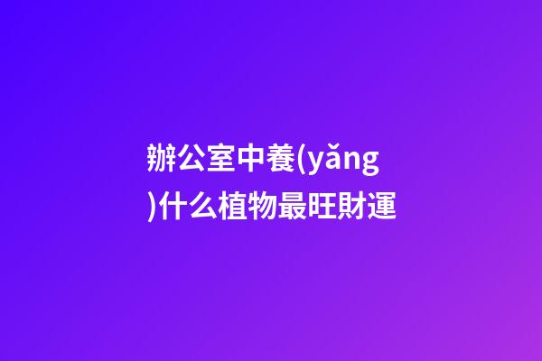 辦公室中養(yǎng)什么植物最旺財運