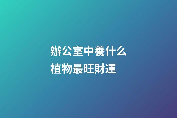 辦公室中養什么植物最旺財運