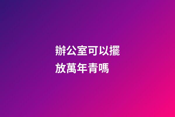 辦公室可以擺放萬年青嗎