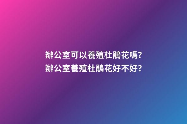 辦公室可以養殖杜鵑花嗎？辦公室養殖杜鵑花好不好？