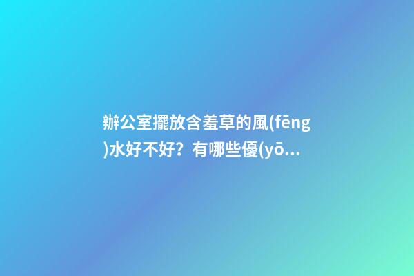 辦公室擺放含羞草的風(fēng)水好不好？有哪些優(yōu)點(diǎn)和缺點(diǎn)？