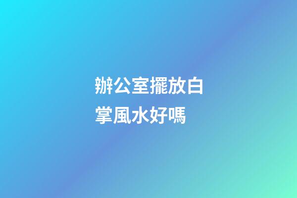 辦公室擺放白掌風水好嗎
