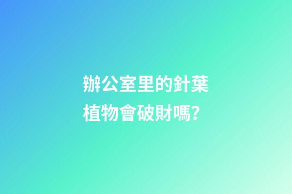 辦公室里的針葉植物會破財嗎？