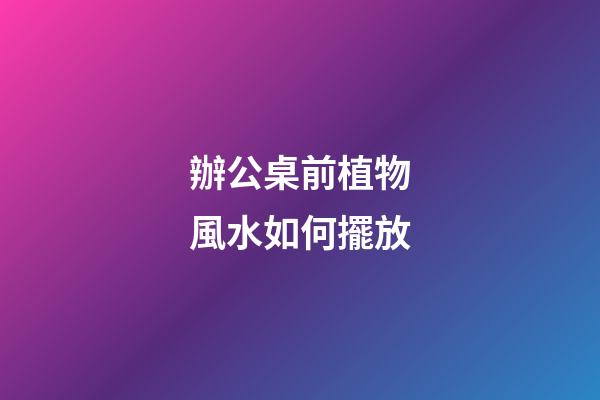 辦公桌前植物風水如何擺放