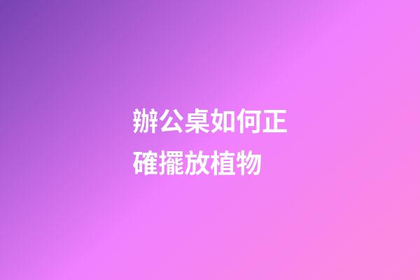 辦公桌如何正確擺放植物
