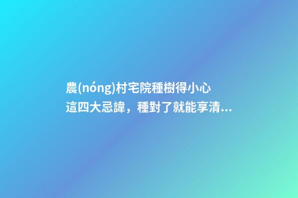 農(nóng)村宅院種樹得小心這四大忌諱，種對了就能享清福掙大錢！