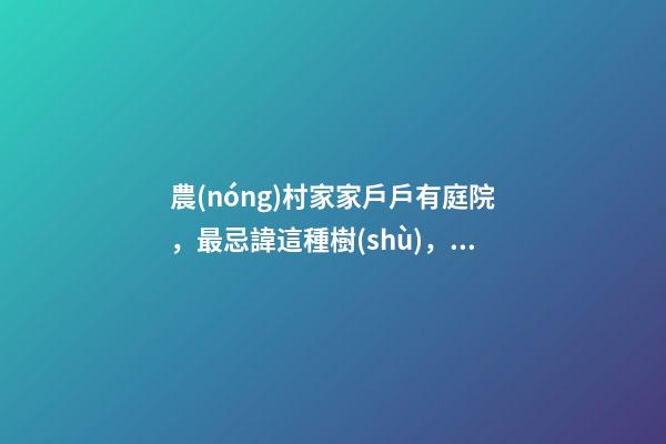 農(nóng)村家家戶戶有庭院，最忌諱這種樹(shù)，壞風(fēng)水！你家種了嗎