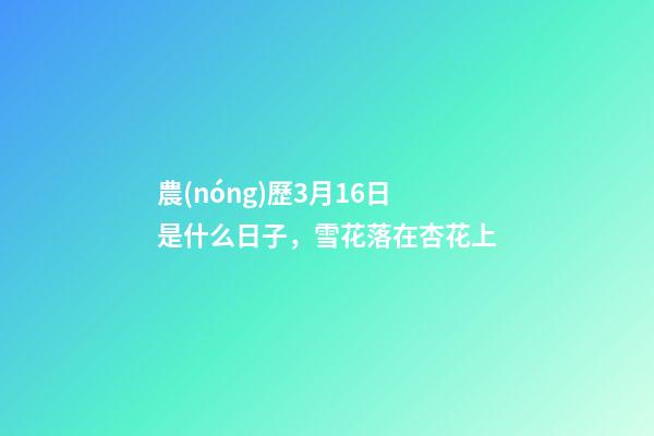農(nóng)歷3月16日是什么日子，雪花落在杏花上-第1張-觀點-玄機派