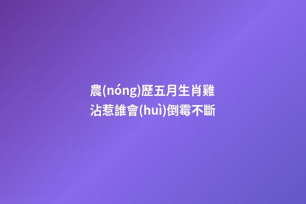 農(nóng)歷五月生肖雞沾惹誰會(huì)倒霉不斷