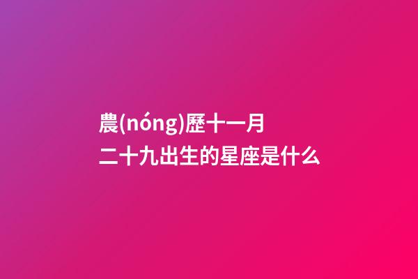 農(nóng)歷十一月二十九出生的星座是什么-第1張-星座運勢-玄機派