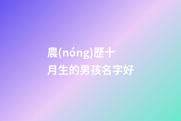 農(nóng)歷十月生的男孩名字好(農(nóng)歷10月生的寶寶名字)-第1張-男孩起名-玄機(jī)派