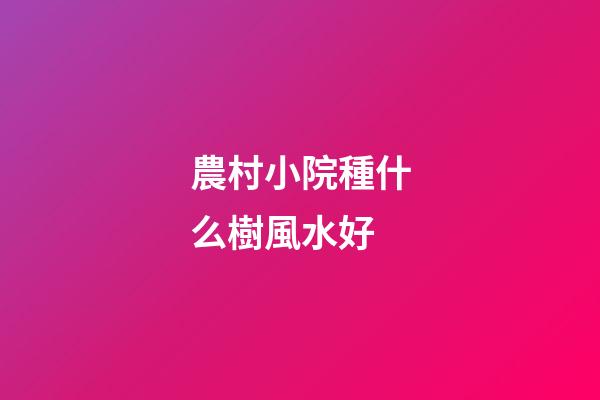 農村小院種什么樹風水好