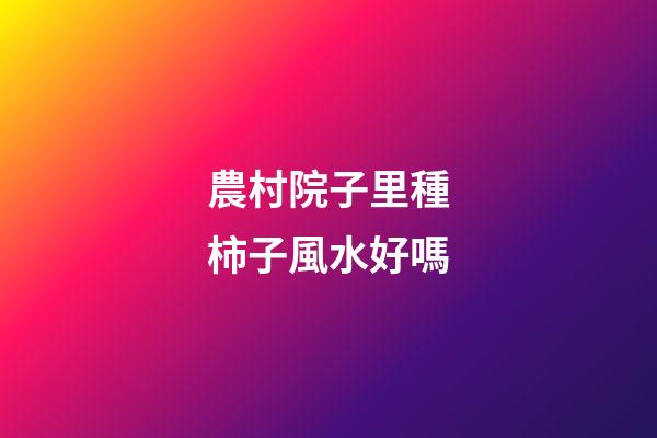農村院子里種柿子風水好嗎