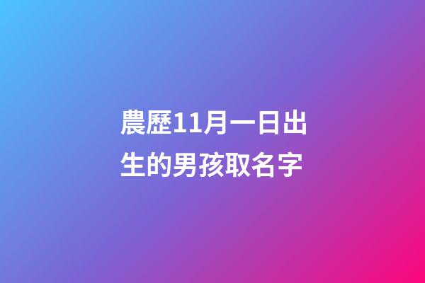 農歷11月一日出生的男孩取名字(農歷11月1日出生的名人是哪些人)