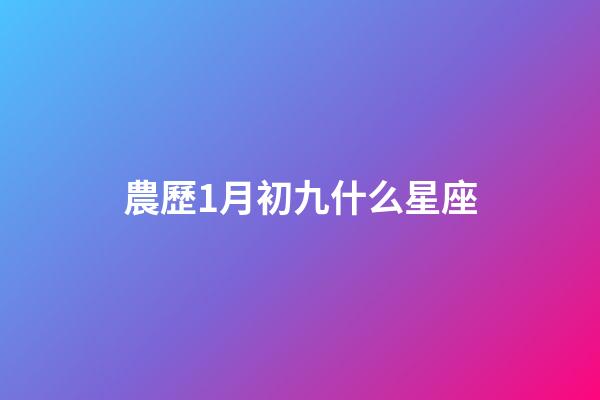 農歷1月初九什么星座-第1張-星座運勢-玄機派