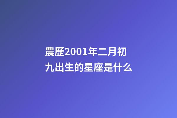 農歷2001年二月初九出生的星座是什么-第1張-星座運勢-玄機派