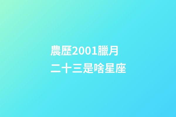 農歷2001臘月二十三是啥星座-第1張-星座運勢-玄機派