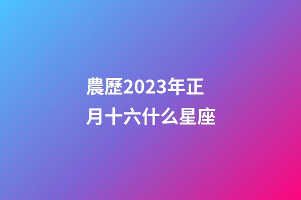 農歷2023年正月十六什么星座-第1張-星座運勢-玄機派