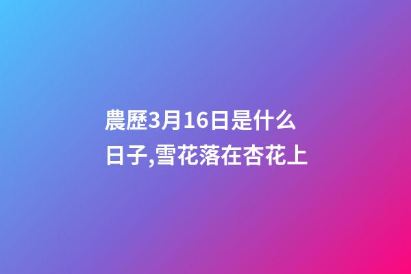 農歷3月16日是什么日子,雪花落在杏花上-第1張-觀點-玄機派