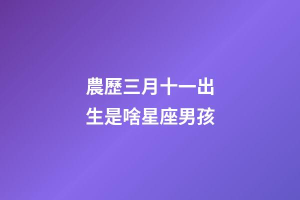 農歷三月十一出生是啥星座男孩-第1張-星座運勢-玄機派
