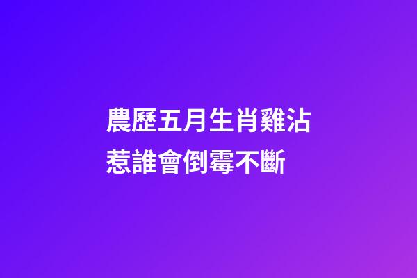 農歷五月生肖雞沾惹誰會倒霉不斷