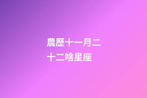 農歷十一月二十二啥星座-第1張-星座運勢-玄機派