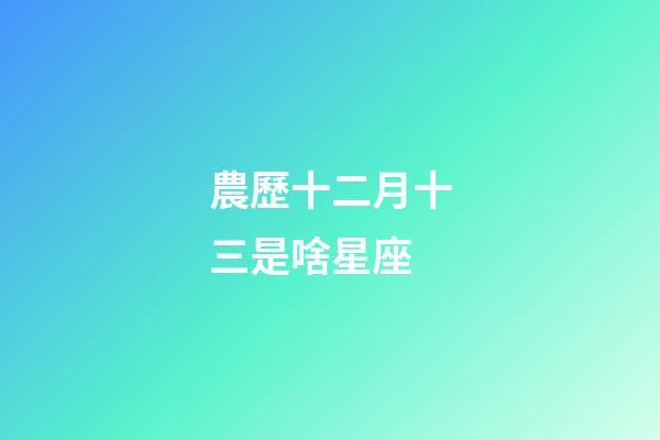 農歷十二月十三是啥星座