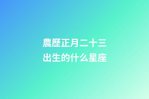 農歷正月二十三出生的什么星座-第1張-星座運勢-玄機派