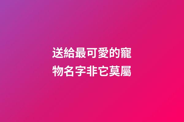 送給最可愛的寵物名字非它莫屬