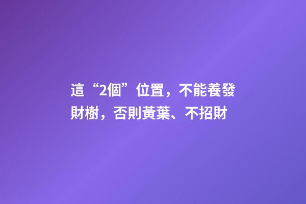 這“2個”位置，不能養發財樹，否則黃葉、不招財