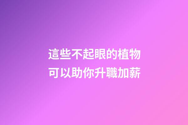 這些不起眼的植物可以助你升職加薪