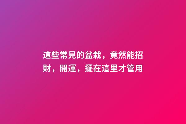 這些常見的盆栽，竟然能招財，開運，擺在這里才管用