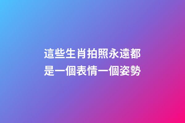 這些生肖拍照永遠都是一個表情一個姿勢
