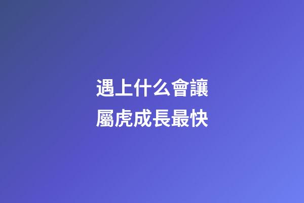 遇上什么會讓屬虎成長最快