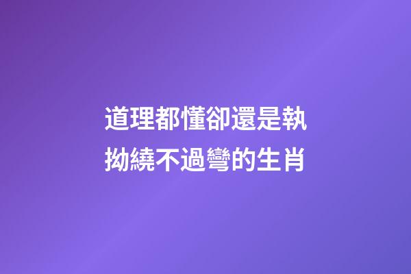 道理都懂卻還是執拗繞不過彎的生肖