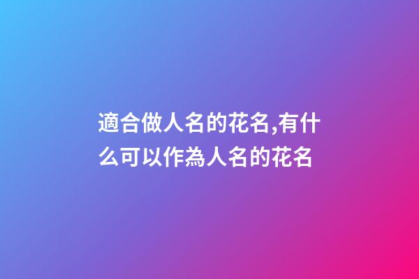 適合做人名的花名,有什么可以作為人名的花名