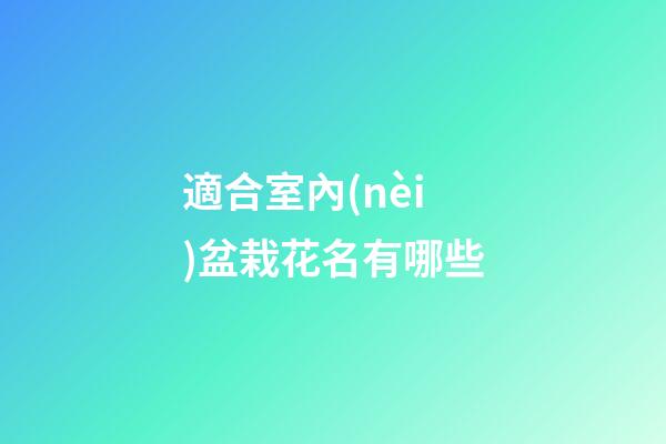適合室內(nèi)盆栽花名有哪些