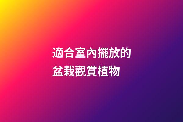 適合室內擺放的盆栽觀賞植物