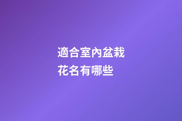 適合室內盆栽花名有哪些