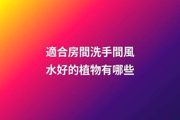適合房間洗手間風水好的植物有哪些