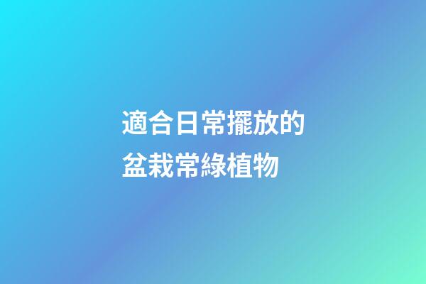 適合日常擺放的盆栽常綠植物