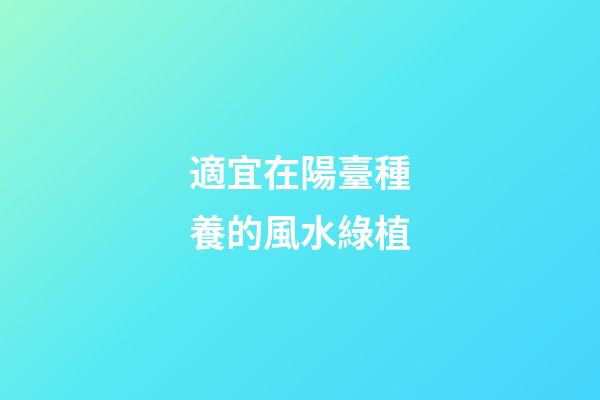 適宜在陽臺種養的風水綠植