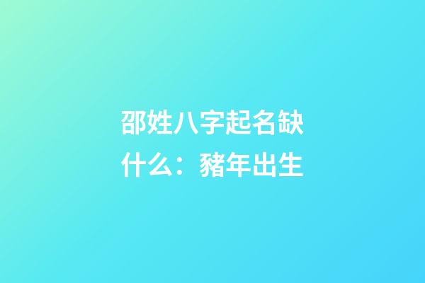 邵姓八字起名缺什么：豬年出生