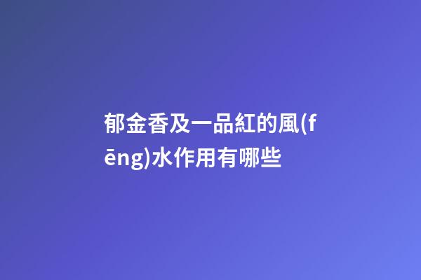 郁金香及一品紅的風(fēng)水作用有哪些?