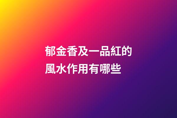郁金香及一品紅的風水作用有哪些?