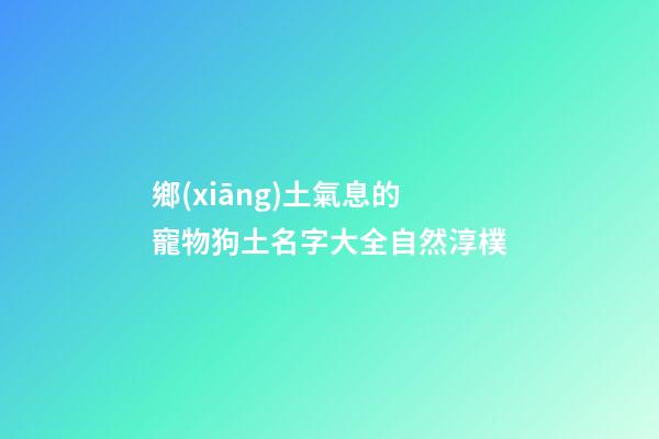 鄉(xiāng)土氣息的寵物狗土名字大全自然淳樸